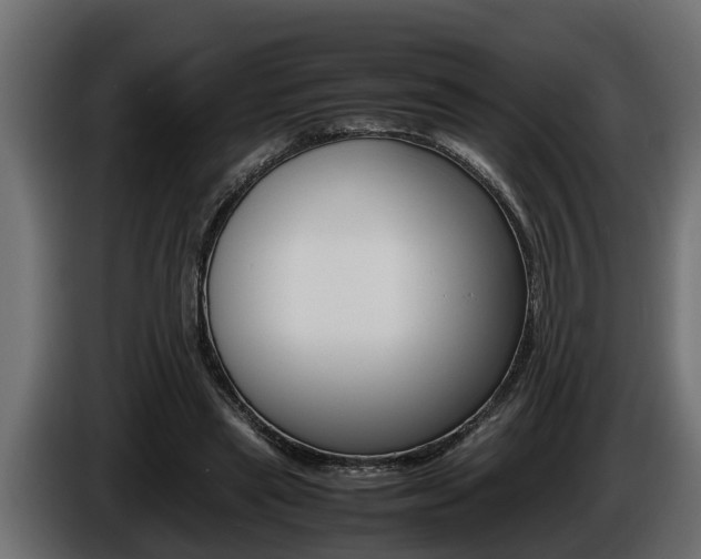 X0000086760445200704130818
