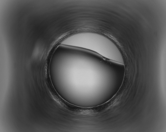 X0000086760446200704130818