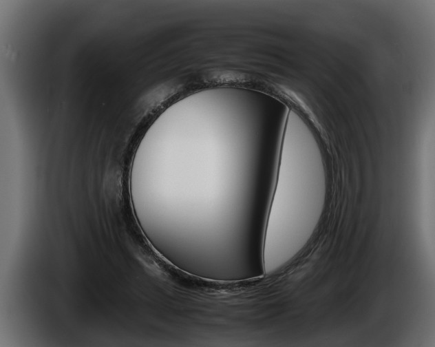 X0000086760447200704130818