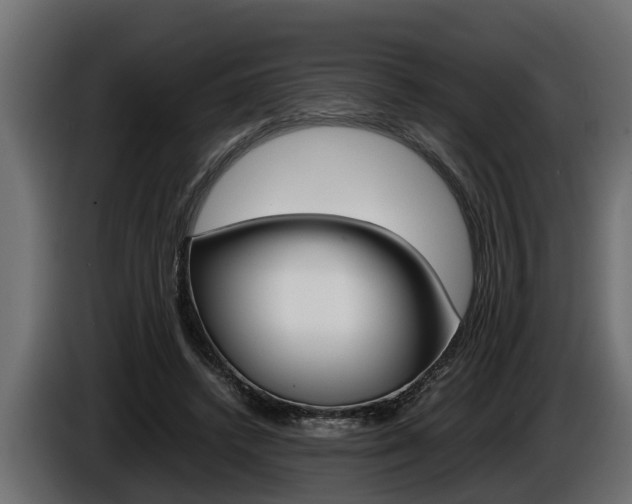 X0000086760448200704130818