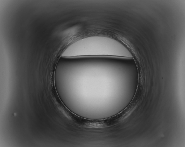 X0000086760449200704130818