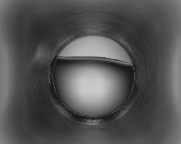 X0000086760450200704130818