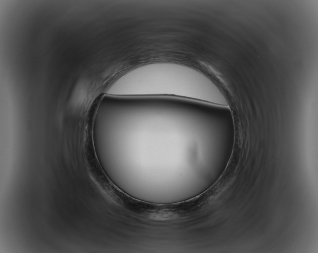 X0000086760451200704130818