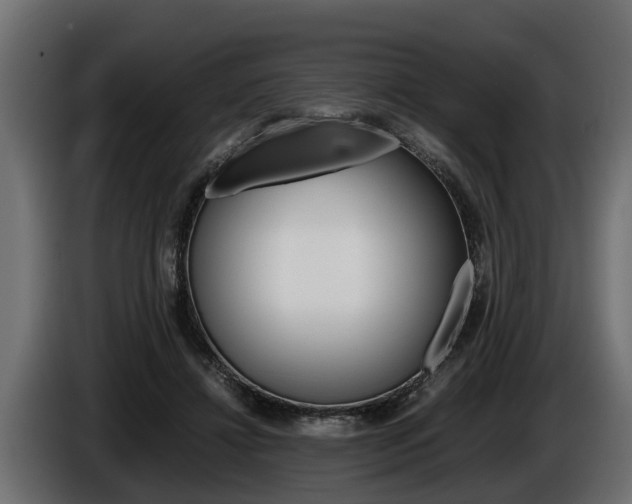 X0000086760452200704130818