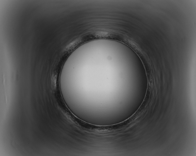 X0000086760454200704130818