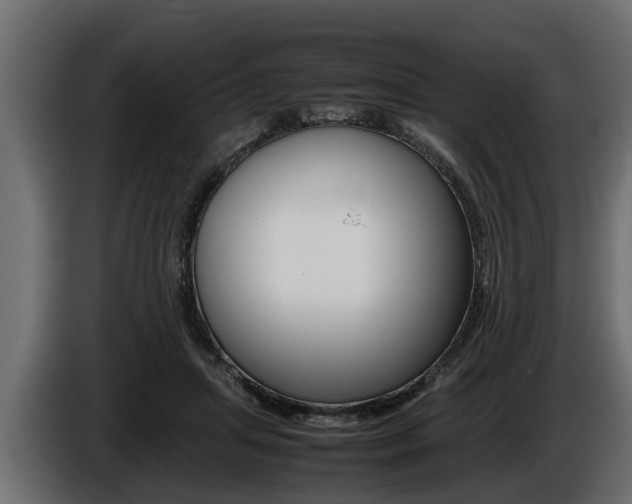 X0000086760455200704130818
