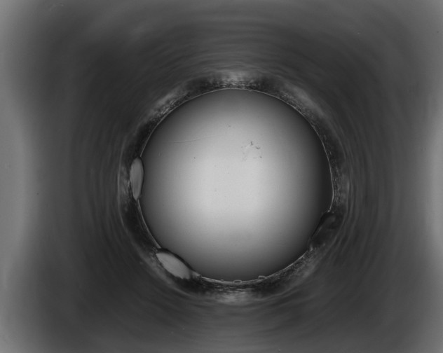 X0000086760456200704130818