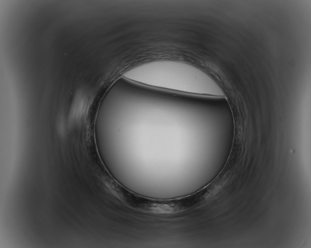 X0000086760457200704130818