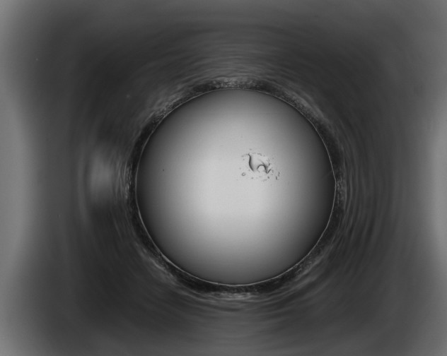 X0000086760458200704130818