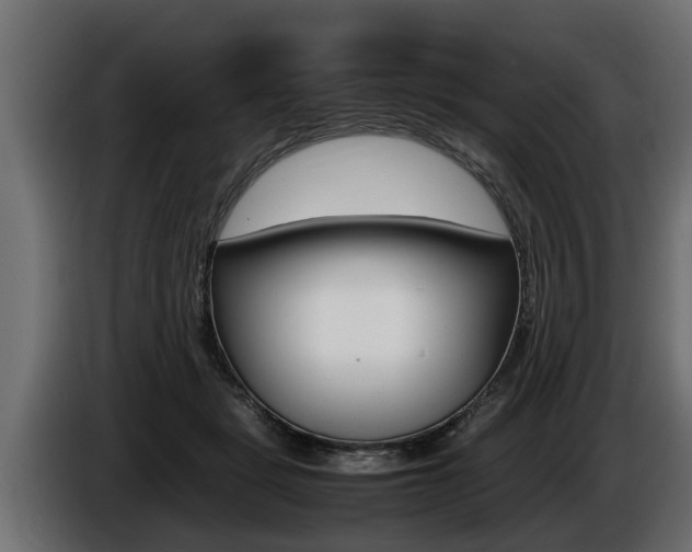 X0000086760461200704130818
