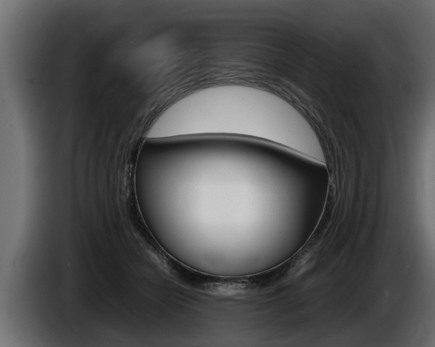 X0000086760462200704130818