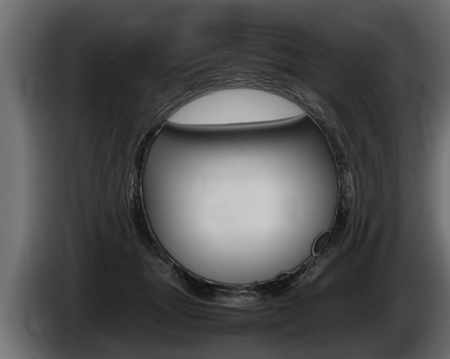 X0000086760463200704130818