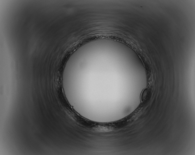 X0000086760464200704130818