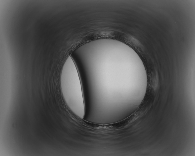 X0000086760465200704130818