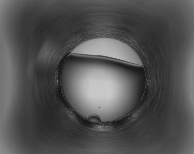 X0000086760466200704130818