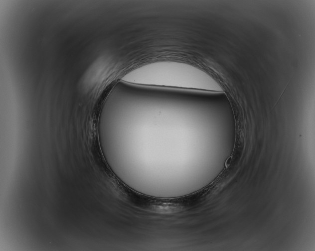 X0000086760467200704130818
