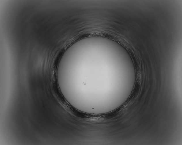 X0000086760468200704130818