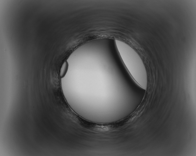 X0000086760469200704130818
