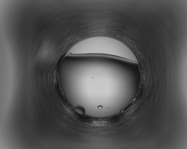 X0000086760470200704130818