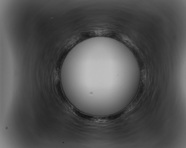 X0000086760471200704130818