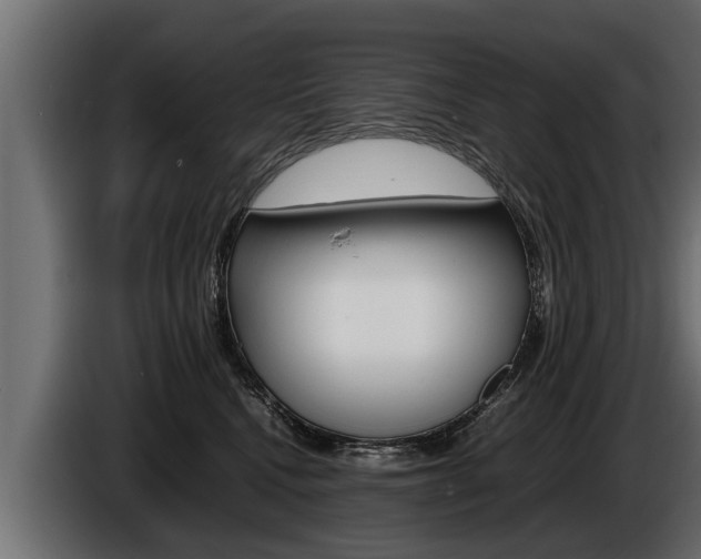 X0000086760472200704130818