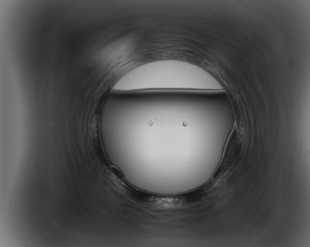 X0000086760473200704130818