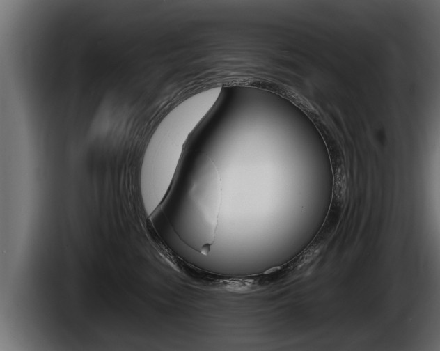 X0000086760474200704130818