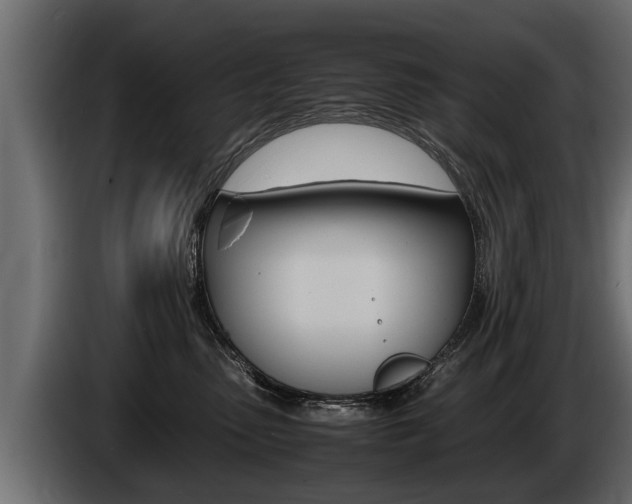 X0000086760475200704130818