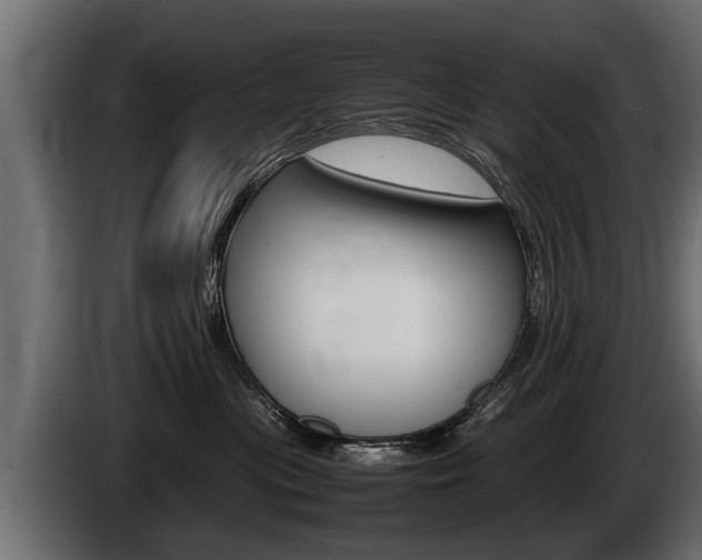 X0000086760477200704130818