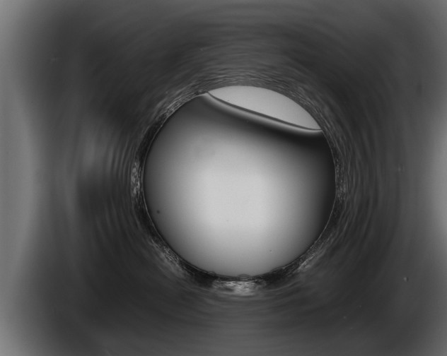 X0000086760478200704130818