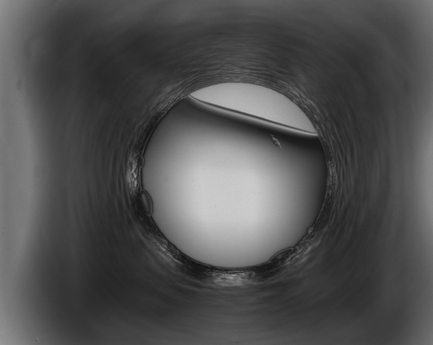 X0000086760479200704130818
