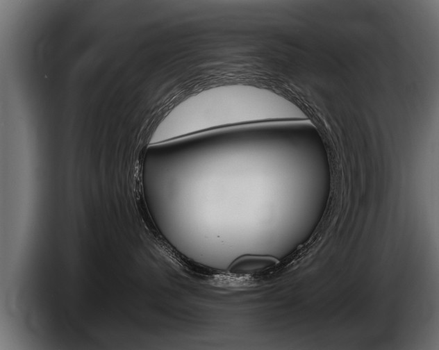 X0000086760480200704130818