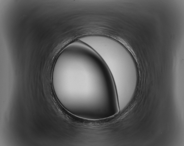 X0000086760481200704130818