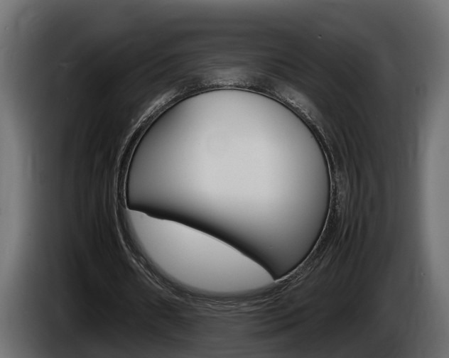 X0000086760482200704130818