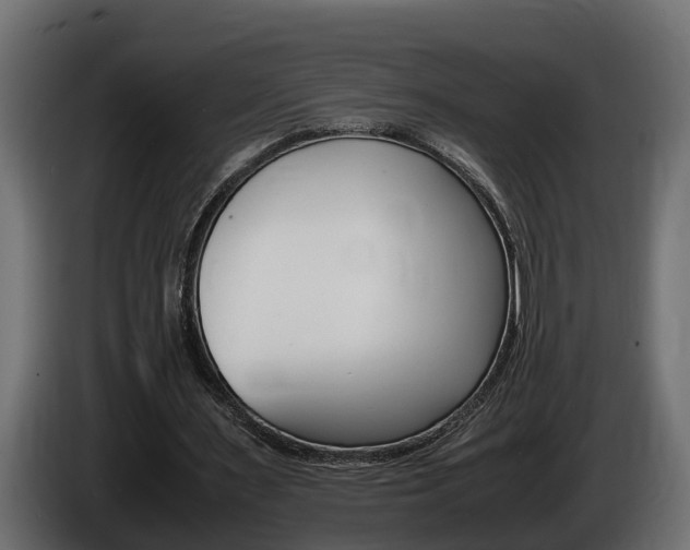 X0000086760483200704130818