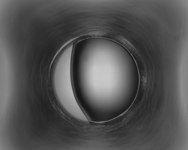 X0000086760484200704130818