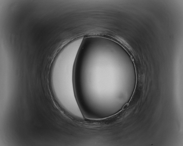 X0000086760485200704130818