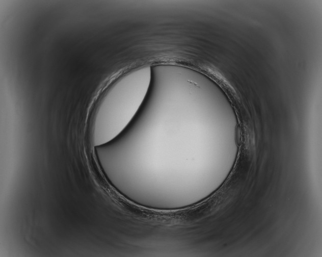 X0000086760486200704130818