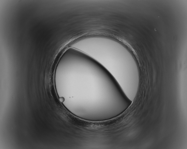 X0000086760487200704130818