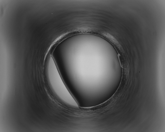 X0000086760488200704130818