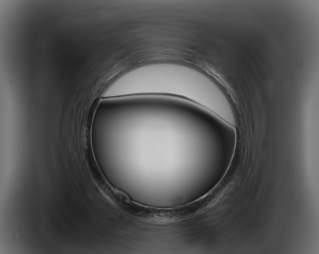 X0000086760489200704130818