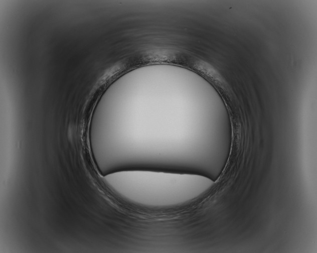 X0000086760490200704130818