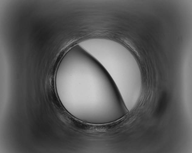 X0000086760491200704130818
