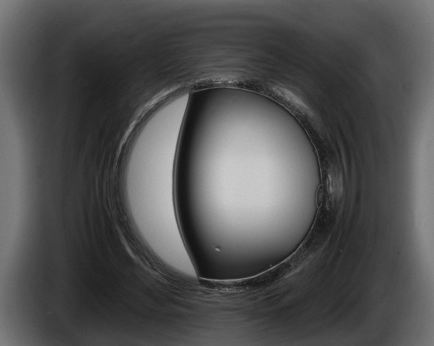 X0000086760492200704130818