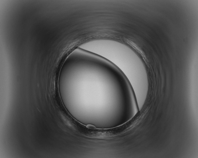 X0000086760493200704130818