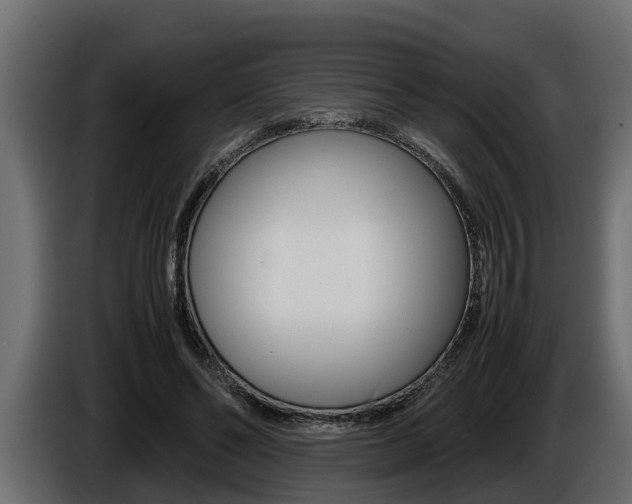 X0000086760494200704130818