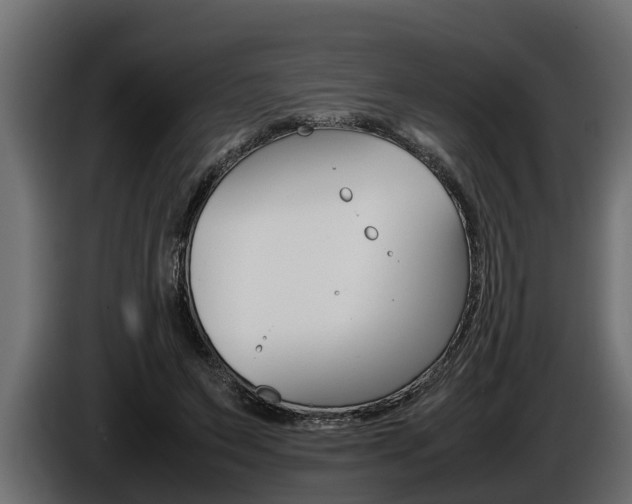 X0000086760495200704130818