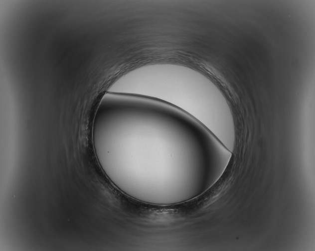 X0000086760497200704130818