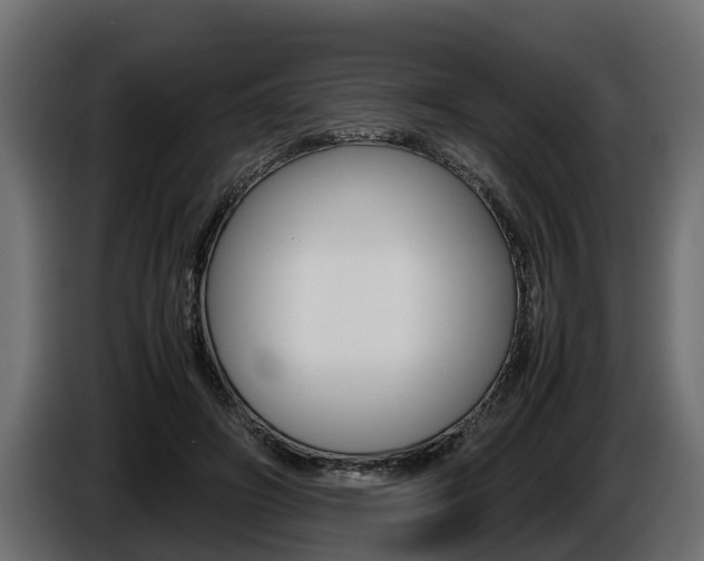 X0000086760498200704130817