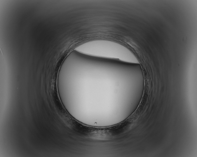 X0000086760499200704130817